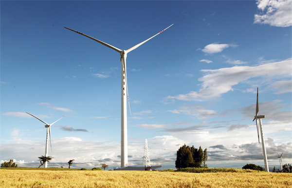 阿达玛二期 2.jpg