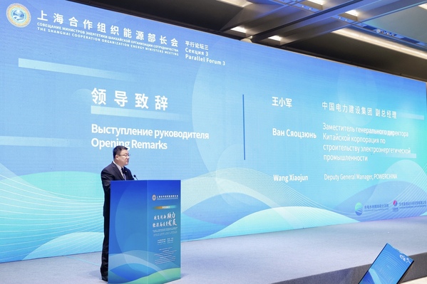 王小军上合组织.jpg