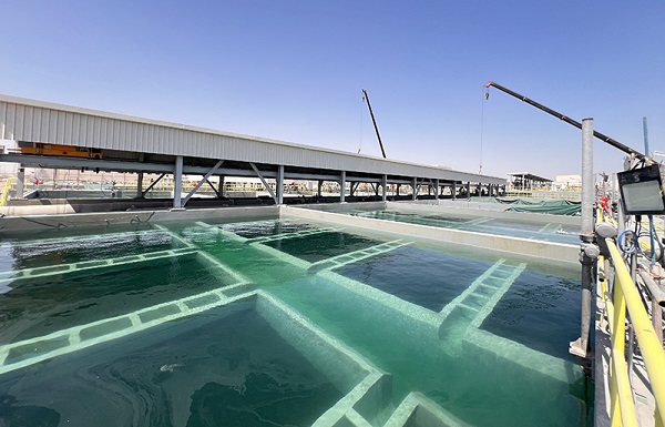 1762392826474016845.jpg 1.jpg